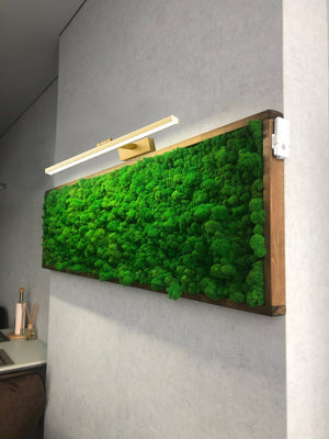 Aplica Talis în auriu deasupra unui tablou cu mușchi stabilizat (80 cm lățime)