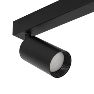 Plafonieră Amis din metal, negru, 2 becuri