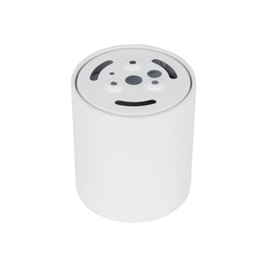 Plafonieră Blaze din aluminiu, alb, 12 W