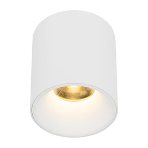 Plafonieră Blaze din aluminiu, alb, 12 W