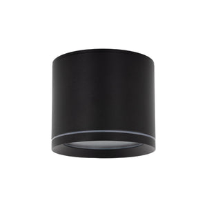 Plafonieră Vivo din metal, negru