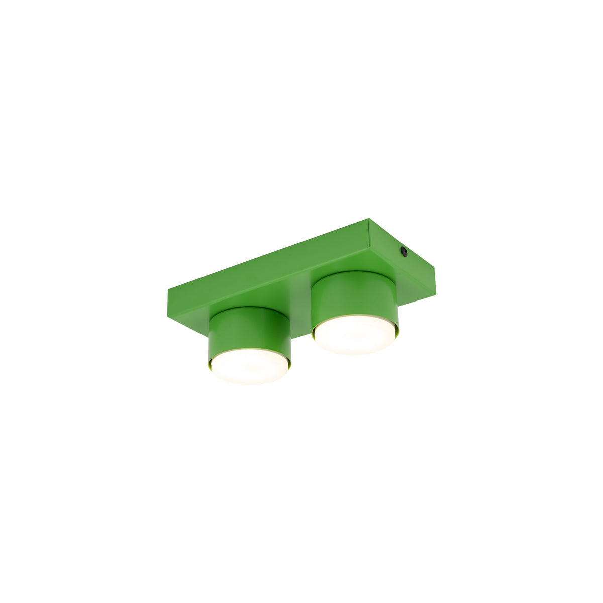 Plafonieră Brix din oțel, verde, 2 becuri