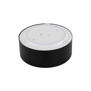 Plafonieră Livo din metal, negru, 2 becuri