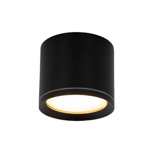 Plafonieră Vivo din metal, negru