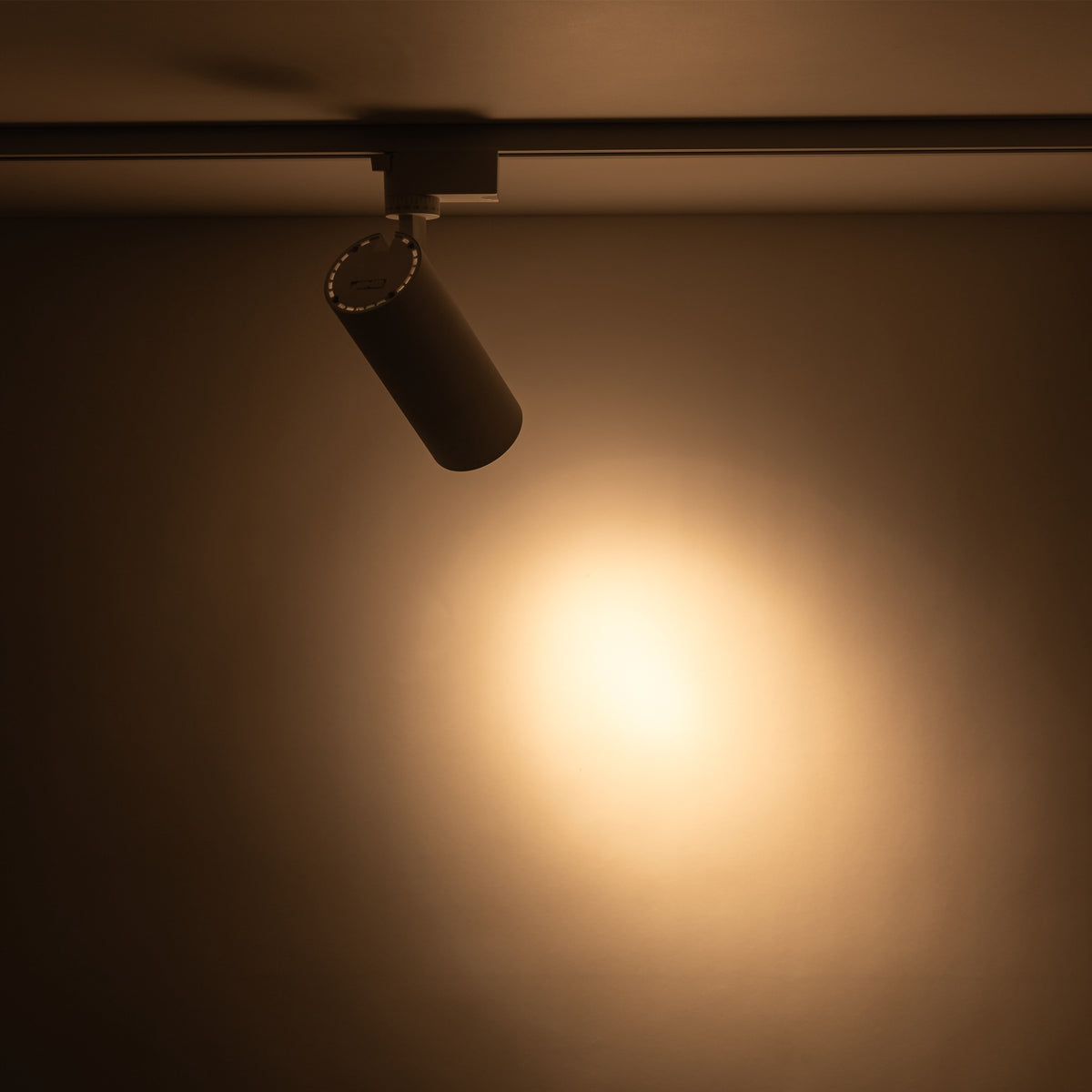 Spot pentru șină Tracer cu lumină reglabilă din metal, alb, 20 W