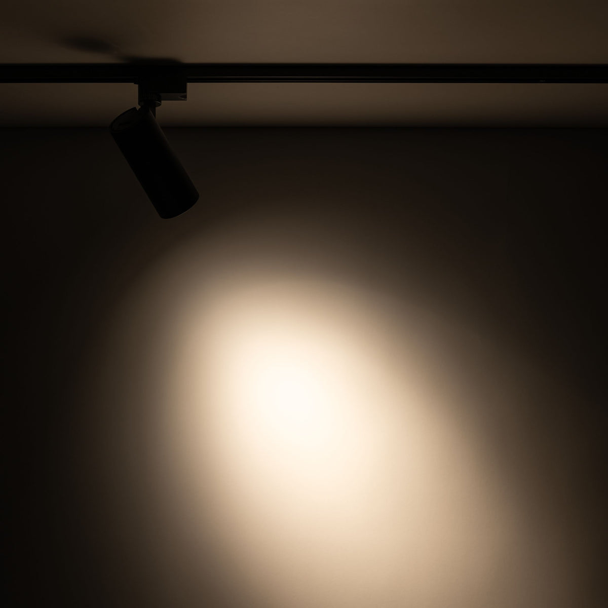 Spot pentru șină Tracer cu lumină reglabilă din metal, negru, 20 W